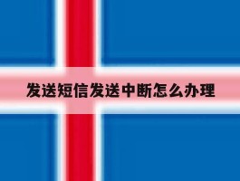 发送短信发送中断怎么办理