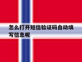 怎么打开短信验证码自动填写信息呢