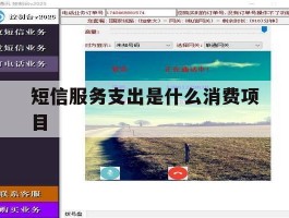 短信服务支出是什么消费项目