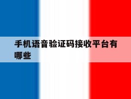 手机语音验证码接收平台有哪些
