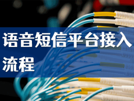语音短信接收平台官网下载安装