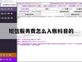短信服务费怎么入账科目的
