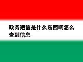 政务短信是什么东西啊怎么查到信息