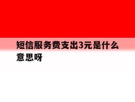 短信服务费支出3元是什么意思呀