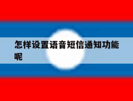 怎样设置语音短信通知功能呢