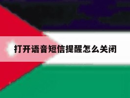 打开语音短信提醒怎么关闭