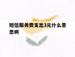 短信服务费支出3元什么意思啊