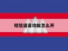 短信语音功能怎么开