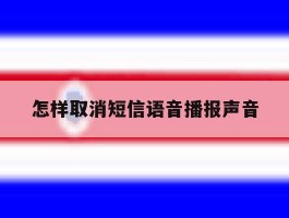 怎样取消短信语音播报声音