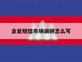 企业短信市场调研怎么写