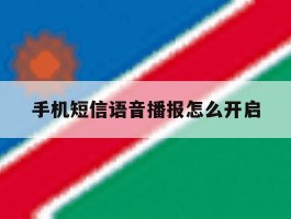 手机短信语音播报怎么开启