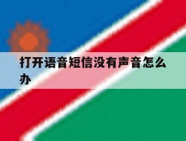 打开语音短信没有声音怎么办