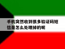 关于手机突然收到很多验证码短信是怎么处理掉的呢的信息