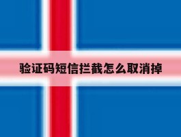 验证码短信拦截怎么取消掉