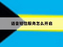 语音短信服务怎么开启