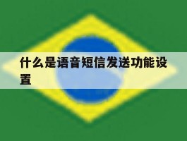 什么是语音短信发送功能设置
