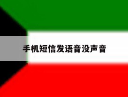 手机短信发语音没声音
