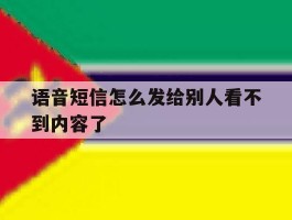 语音短信怎么发给别人看不到内容了