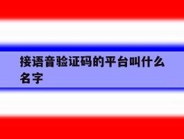 接语音验证码的平台叫什么名字