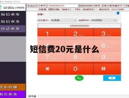 短信费20元是什么