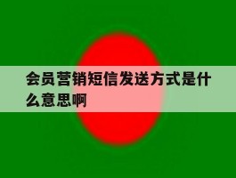 会员营销短信发送方式是什么意思啊