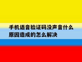 手机语音验证码没声音什么原因造成的怎么解决的简单介绍