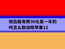 包含短信服务费30元是一年的吗怎么取消呢苹果12的词条