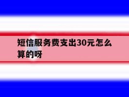 短信服务费支出30元怎么算的呀的简单介绍