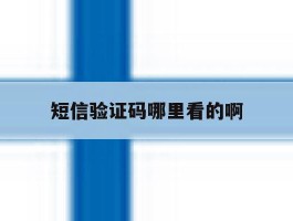 短信验证码哪里看的啊