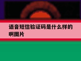 语音短信验证码是什么样的啊图片