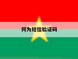 何为短信验证码