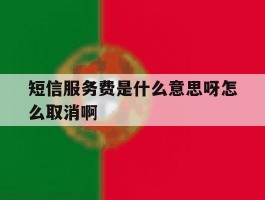 包含短信服务费是什么意思呀怎么取消啊的词条