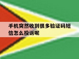 手机突然收到很多验证码短信怎么投诉呢的简单介绍