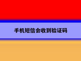 手机短信会收到验证码