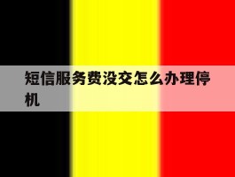 短信服务费没交怎么办理停机
