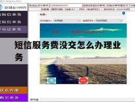 短信服务费没交怎么办理业务