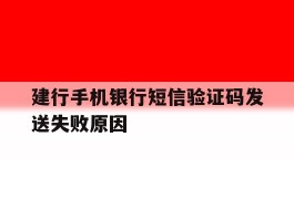 建行手机银行短信验证码发送失败原因