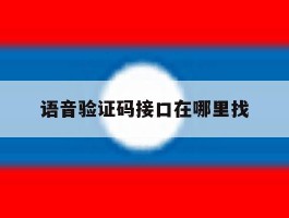 语音验证码接口在哪里找的简单介绍