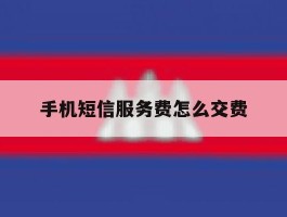 手机短信服务费怎么交费
