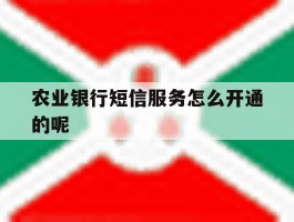 农业银行短信服务怎么开通的呢