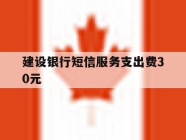 建设银行短信服务支出费30元