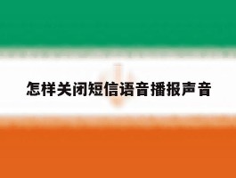 怎样关闭短信语音播报声音