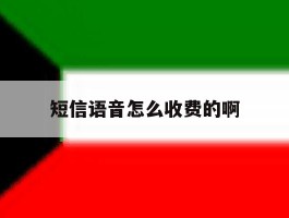 短信语音怎么收费的啊