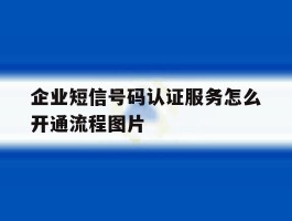 关于企业短信号码认证服务怎么开通流程图片的信息