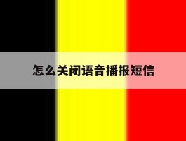 怎么关闭语音播报短信