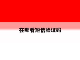 在哪看短信验证码