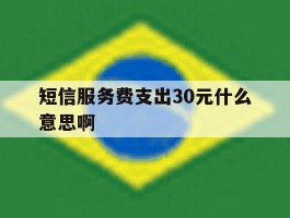 短信服务费支出30元什么意思啊