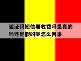 包含验证码短信要收费吗是真的吗还是假的呢怎么回事的词条