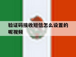 验证码接收短信怎么设置的呢视频