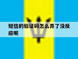 短信的验证码怎么弄了没反应呢